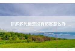 拼多多代运营没有访客怎么办