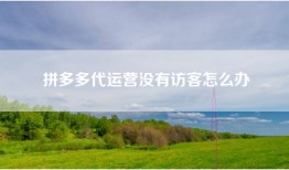 拼多多代运营没有访客怎么办