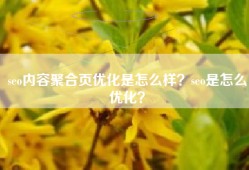 seo内容聚合页优化是怎么样？seo是怎么优化？