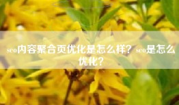 seo内容聚合页优化是怎么样？seo是怎么优化？