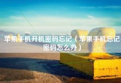 苹果手机开机密码忘记（苹果手机忘记密码怎么办）