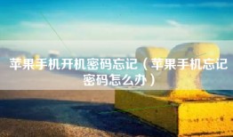 苹果手机开机密码忘记（苹果手机忘记密码怎么办）