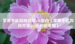 苹果手机如何共享wifi密码（苹果手机如何共享wifi密码给电脑）