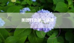 美团打出第三张牌
