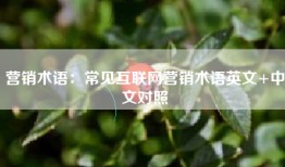 营销术语：常见互联网营销术语英文+中文对照