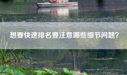 想要快速排名要注意哪些细节问题？