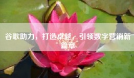 谷歌助力，打造卓越，引领数字营销新篇章