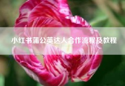小红书蒲公英达人合作流程及教程