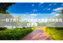 一目了然！450万+网民大数据调查报告快速查