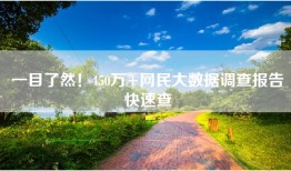 一目了然！450万+网民大数据调查报告快速查