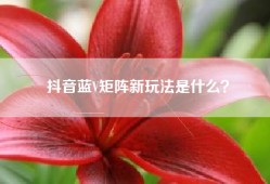 抖音蓝V矩阵新玩法是什么？