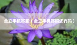 金立手机客服（金立手机客服还有吗）