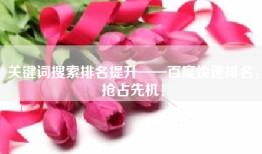 关键词搜索排名提升——百度快速排名，抢占先机！