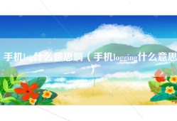 手机log什么意思啊（手机logging什么意思）
