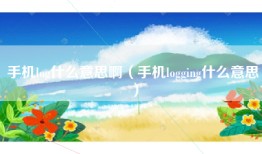 手机log什么意思啊（手机logging什么意思）