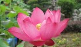 活动招募 ｜ 吃喝玩乐购，就在广州安心家政服务月，请带上产品加入我们！