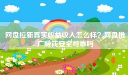 网盘拉新真实收益收入怎么样？网盘推广赚钱安全可靠吗