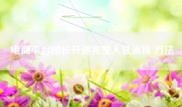 电商平台团长开通完整入驻流程 方法