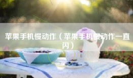 苹果手机慢动作（苹果手机慢动作一直闪）