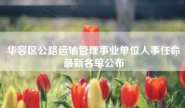 华容区公路运输管理事业单位人事任命最新名单公布