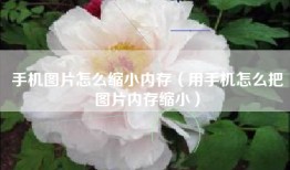 手机图片怎么缩小内存（用手机怎么把图片内存缩小）
