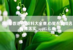 2024年香港6合资料大全查,心里有数精选解释落实_app45.45.46
