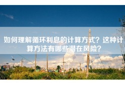 如何理解循环利息的计算方式？这种计算方法有哪些潜在风险？
