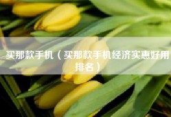 买那款手机（买那款手机经济实惠好用排名）