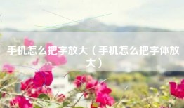 手机怎么把字放大（手机怎么把字体放大）