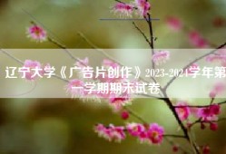 辽宁大学《广告片创作》2023-2024学年第一学期期末试卷
