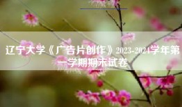 辽宁大学《广告片创作》2023-2024学年第一学期期末试卷