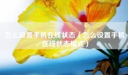 怎么设置手机在线状态（怎么设置手机在线状态模式）