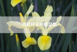 项目日常问题总结