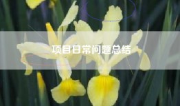 项目日常问题总结