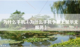 为什么手机（为什么手机卡插上显示无服务）