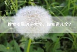 搜索引擎语法大全，你知道几个？
