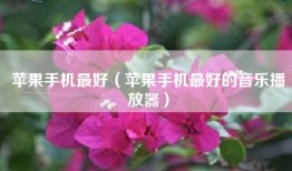 苹果手机最好（苹果手机最好的音乐播放器）