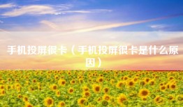 手机投屏很卡（手机投屏很卡是什么原因）