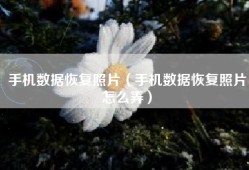 手机数据恢复照片（手机数据恢复照片怎么弄）