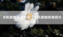 手机数据恢复照片（手机数据恢复照片怎么弄）