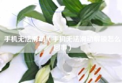 手机无法滑动（手机无法滑动解锁怎么回事）