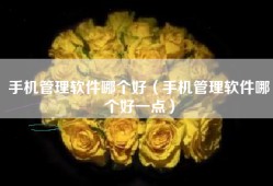 手机管理软件哪个好（手机管理软件哪个好一点）