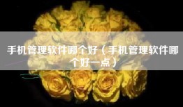 手机管理软件哪个好（手机管理软件哪个好一点）