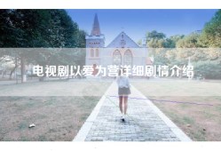 电视剧以爱为营详细剧情介绍