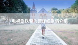 电视剧以爱为营详细剧情介绍