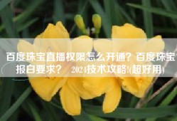 百度珠宝直播权限怎么开通？百度珠宝报白要求？  2024技术攻略!(超好用)