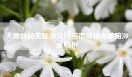大良网站关键词优化与市场抢占策略深度解析