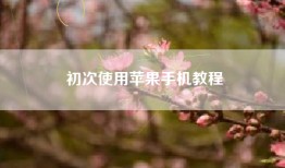 初次使用苹果手机教程