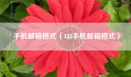 手机邮箱格式（133手机邮箱格式）