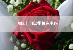 飞机上可以手机充电吗